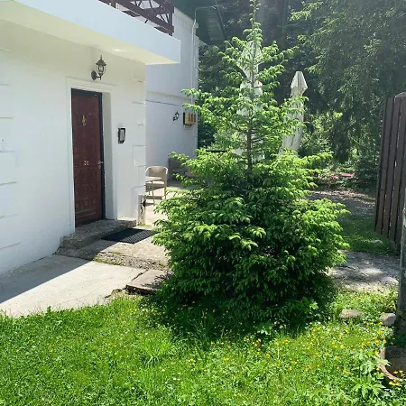 Guest house & Restaurant Kalinder Busteni